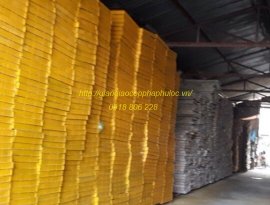  COPPHANEIL , CÔNG TY PHƯƠNG PHÚ LỘC