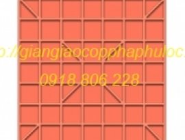 Cốp Pha Sàn 4